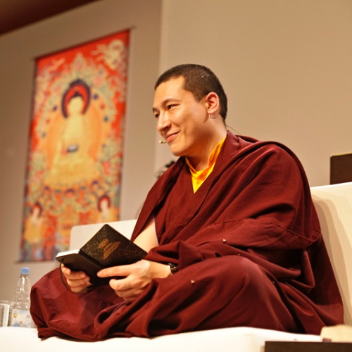 TThe 17th Karmapa